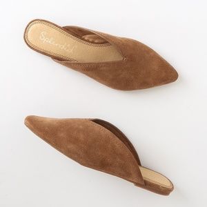 Splendid Hanford Suede Leather Pointed Mules EUC